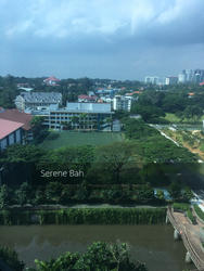 Tanglin View (D3), Condominium #140395942